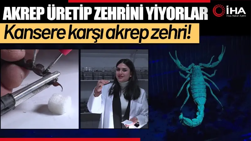 Ankara'da yaşayan 18 yaşındaki Zilan Özdemir, küçük bir odanın içerisinde