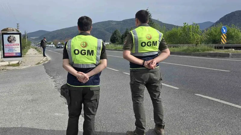 Muğla Orman Bölge Müdürlüğü, orman kaynaklarını koruma ve kaçakçılığı önleme