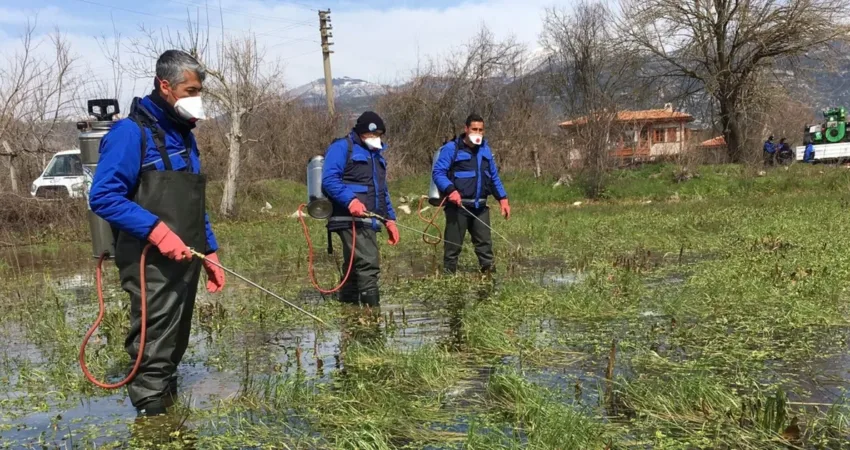 Muğla Büyükşehir Belediyesi, halk sağlığını korumak amacıyla vektörle mücadele hizmetlerine