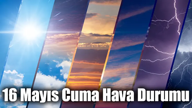 Marmara, Ege, Batı Karadeniz, İç Anadolu’nun kuzeybatısı, Doğu ve Güney