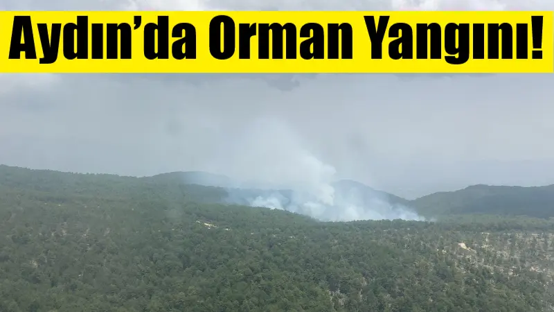 Aydın’ın Nazilli ilçesi Karıncalıdağ bölgesinde çıkan orman yangını, ekiplerin havadan