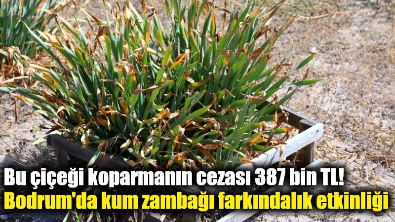 Bodrum Belediyesi, 22 Mayıs Uluslararası Biyolojik Çeşitlilik Günü'nde Ortakent Yahşi