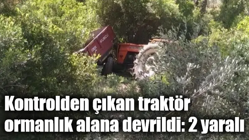 Muğla'nın Milas ilçesinde kontrolden çıkarak ormanlık alana devrilen bir traktör