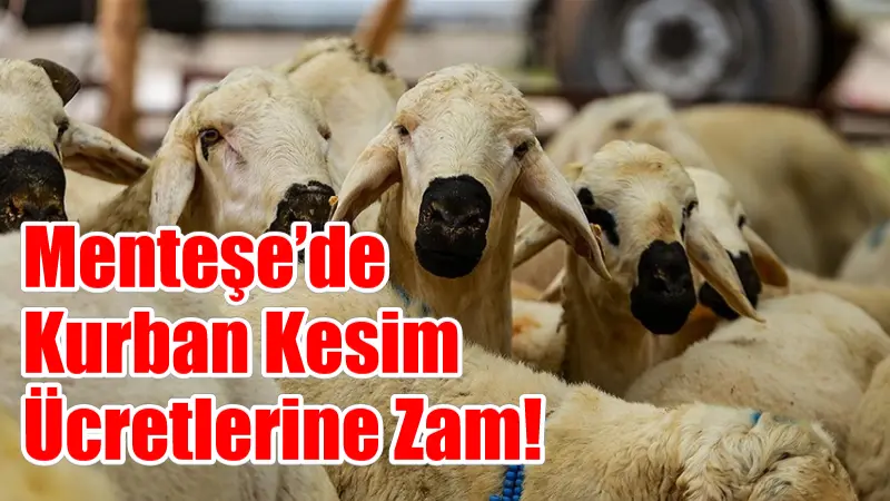 Menteşe'de kurban kesim ücretlerine zam geldi. Kurban Bayramı öncesi alınan