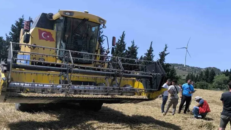 Muğla’da 2025 yılı biçerdöverle hububat hasadı, Datça ilçesinde başladı. Hasat