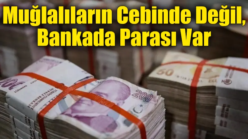 Dövize yönelim artarken, Muğla kişi başına bankada en çok parası