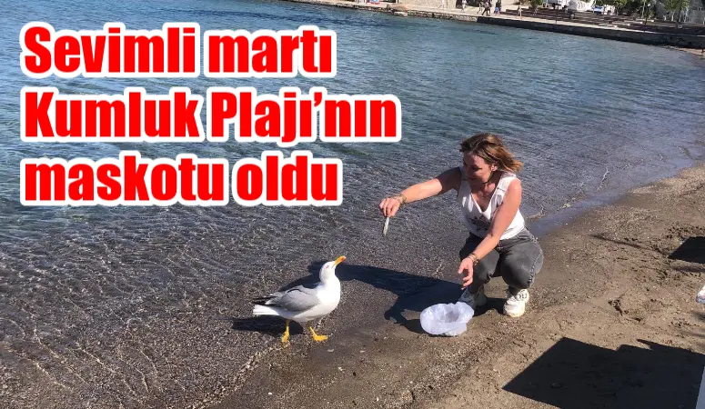 Muğla'nın Datça ilçesinde 4 yıldır balıkçıların peşinden ayrılmayan ve Kumluk