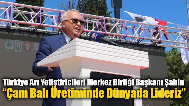 15’inci Dünya Arı Günü kapsamında Menteşe’de düzenlenen etkinlikte konuşan Türkiye
