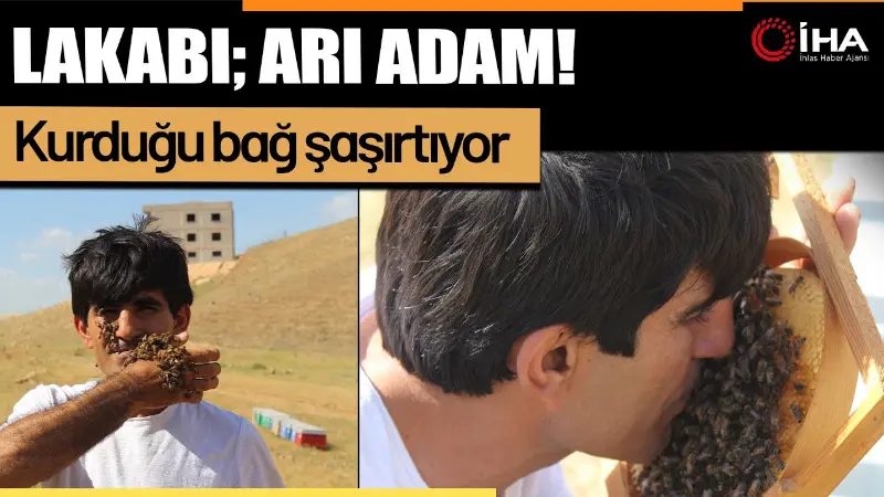 Siirt'in Kurtalan ilçesinde arıcı Muhammed Rahmi Mikyas, kurduğu bağla arılarına