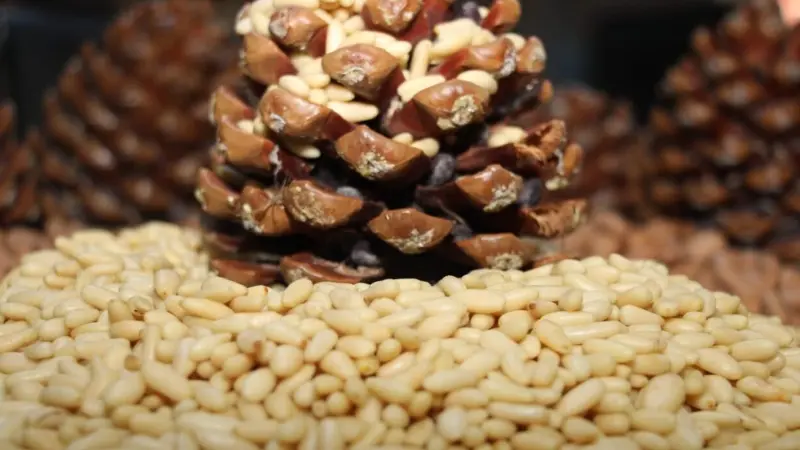 Aydın Çam Fıstığı Avrupa Birliği’nde Tescillenen 33. Ürün Oldu Aydın Ticaret Borsası'nın başvurusuyla Aydın Çam Fıstığı, Avrupa Birliği'nde tescil