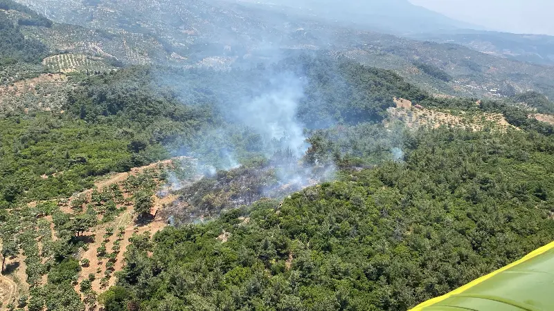 Aydın’da orman yangını! Aydın’ın Germencik ilçesi Dampınar Mahallesi yakınlarında saat 12.15’te çıkan orman