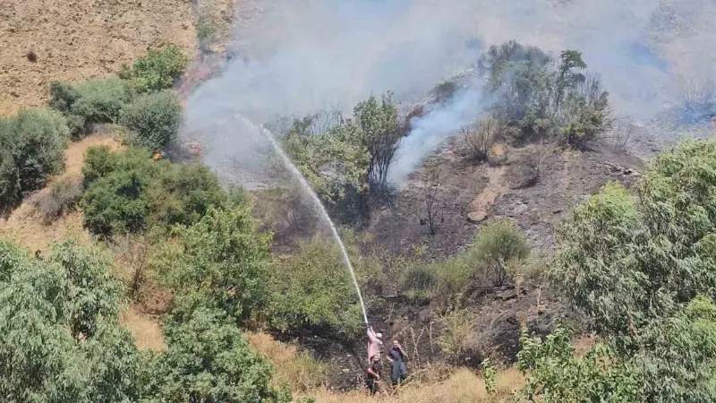 Aydın’daki yangınlar kontrol altına alındı Aydın’ın Nazilli ilçesinde İsabeyli ve Beğerli mahallelerinde çıkan yangınlar kontrol