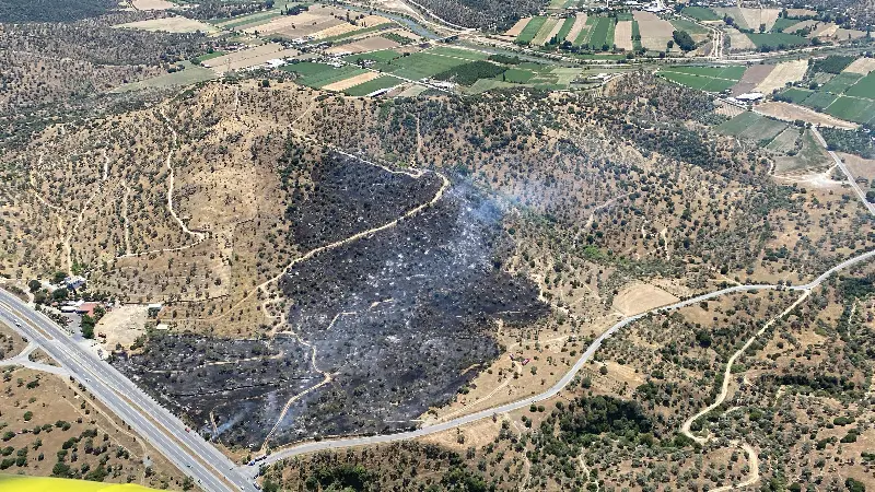 Aydın‘da Ziraat Alanında Yangın: 4 Hektar Zeytinlik Zarar Gördü Aydın’ın Çine ilçesinde ziraat alanında çıkan yangın, ekiplerin havadan ve