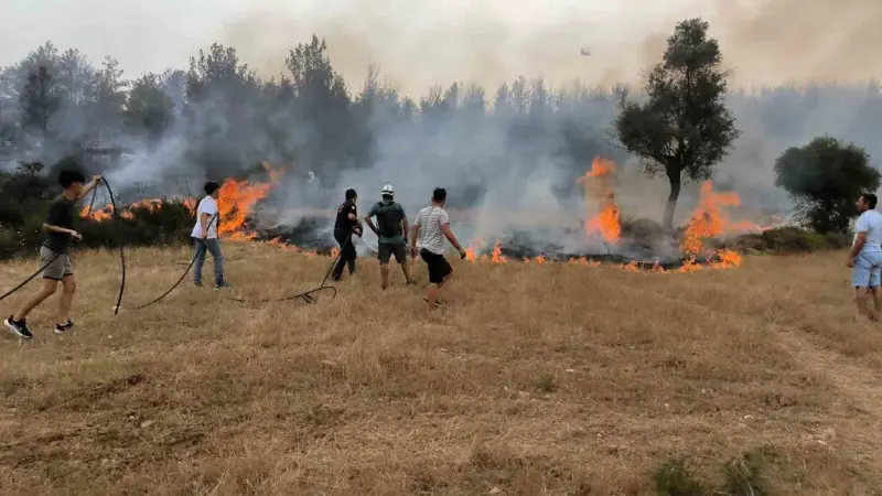 Büyükşehir itfaiye ekipleri 6 ayda 380 anız yangınına müdahale etti Muğla’nın doğal güzellikleriyle ön plana çıkan tarım arazileri, yaz aylarının