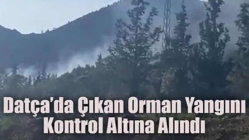 Datça’da ormanlık alanda çıkan yangın, ekiplerin zamanında müdahalesiyle kontrol altına