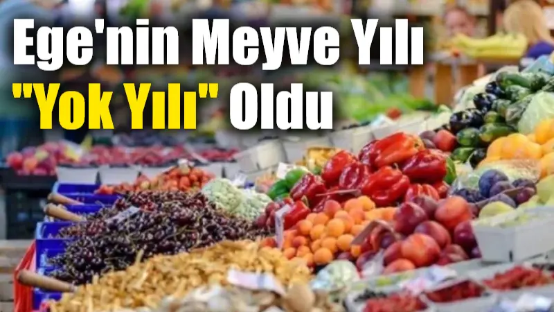 Ege’nin Meyve Yılı “Yok Yılı” Oldu Türkiye’nin en önemli meyve üretim merkezlerinin başında yer alan Aydın