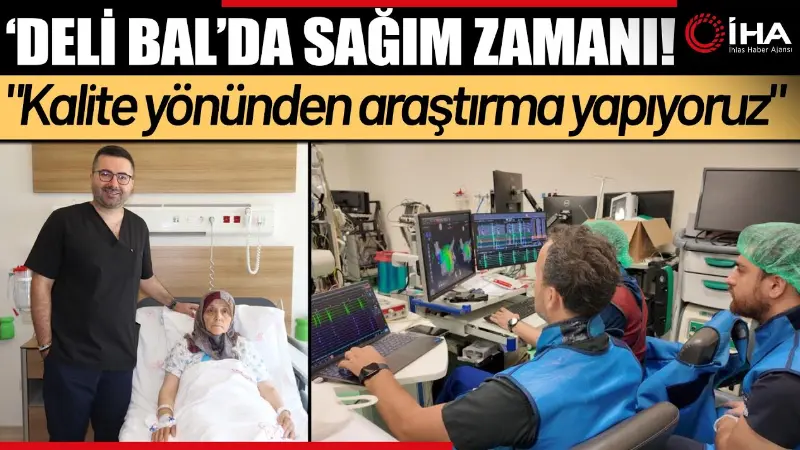 Kastamonu'da, yılda 15-20 gün çiçek açan orman gülünden arıların nektar