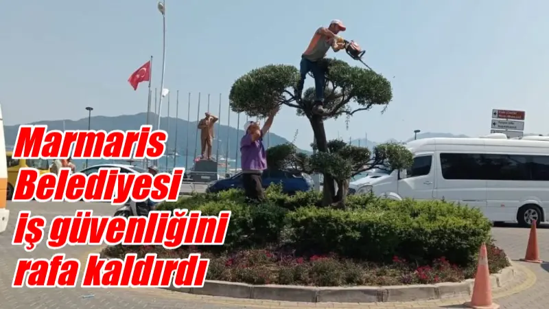 Marmaris Belediyesi iş güvenliğini rafa kaldırdı Toplanmayan çöpler ve şehri istila eden yaban domuzları nedeniyle sıkıntılı