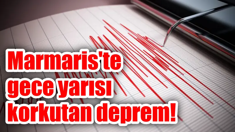  Afet ve Acil Durum Yönetimi Başkanlığının (AFAD) internet sitesinde