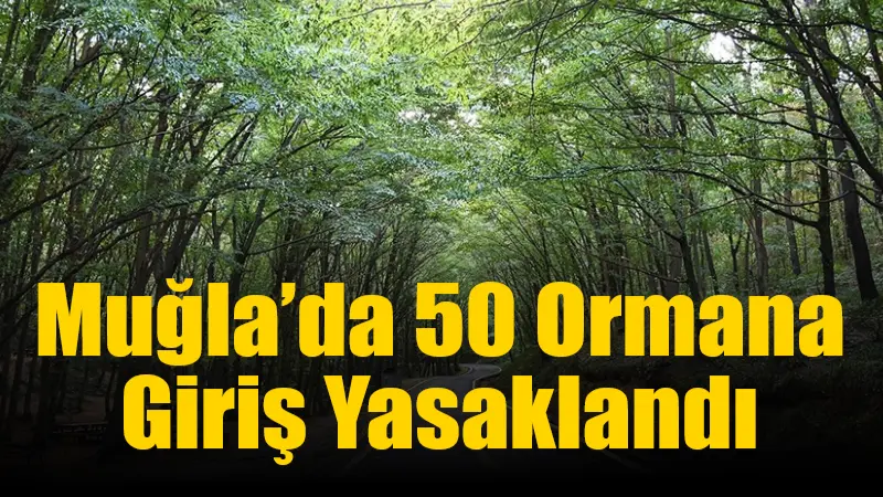Muğla’da 50 Ormana Giriş Yasaklandı Muğla Valiliği, orman yangınlarının önlenmesi amacıyla 25 Haziran – 31