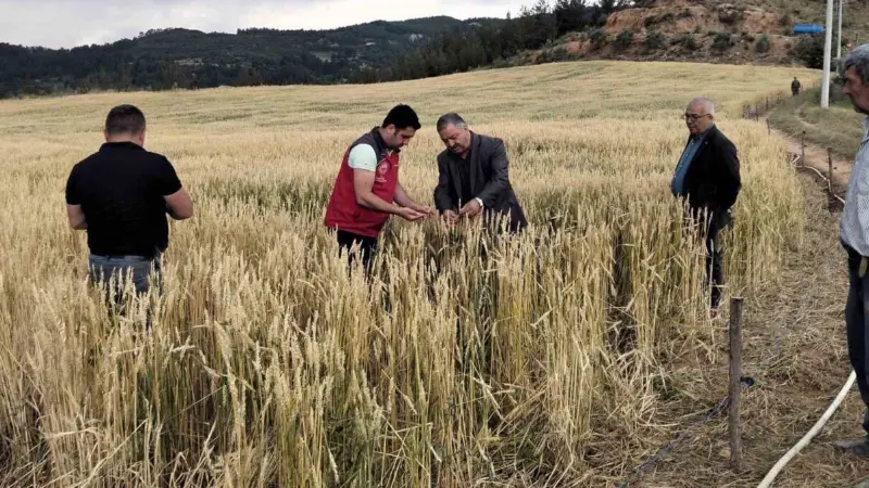 Muğla'nın Menteşe ilçesine bağlı Esençay Mahallesi'nde yaşanan şiddetli dolu ve