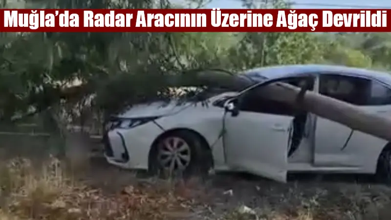Muğla’da Radar Aracının Üzerine Ağaç Devrildi Muğla’nın Ula ilçesinde radar aracının üzerine yol kenarındaki bir ağaç
