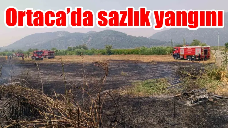 Muğla’nın Ortaca ilçesinde sazlık yakınındaki alanda başlayan yangın Muğla Büyükşehir