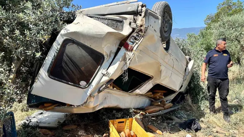 Aydın’ın Bozdoğan ilçesinde ekmek taşıyan ticari araç zeytinliğe uçarken, kazada