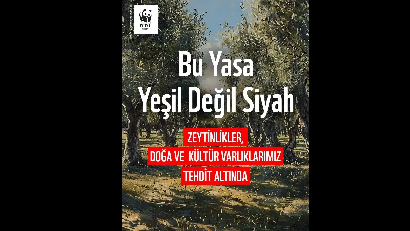WWF-Türkiye’den Uyarı: “Yasa Teklifi Zeytinlikleri, Korunan Alanları ve Kültürel Varlıkları tehdit ediyor” WWF-Türkiye (Doğal Hayatı Koruma Vakfı), önümüzdeki günlerde Türkiye Büyük Millet