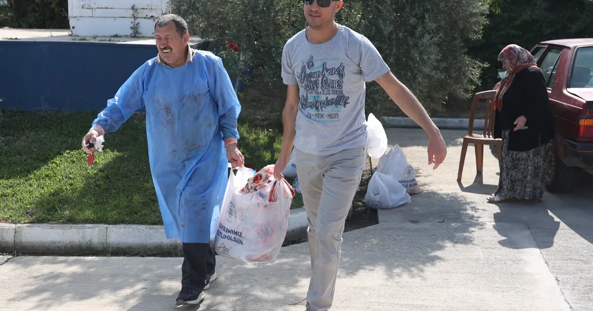 Muğla Büyükşehir Belediyesi Kurban Bayramı’nda mezbaha tesislerinde tam kapasite çalışarak