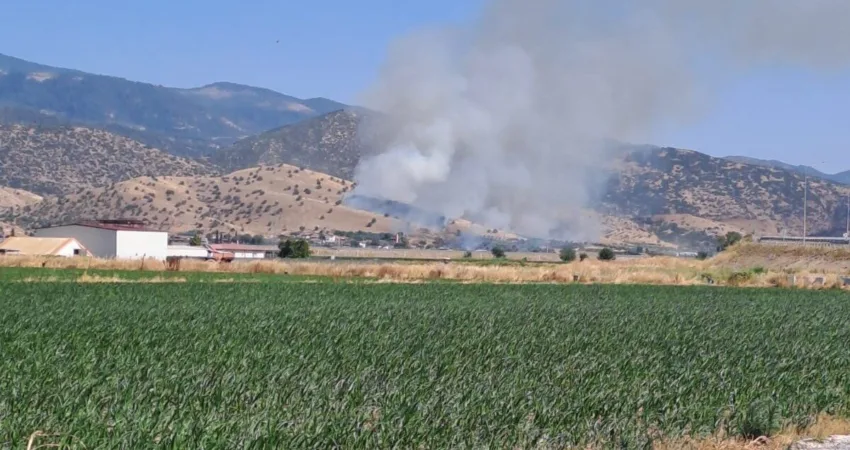 Aydın’ın Nazilli ilçesinde zirai alanda yangın çıktı.