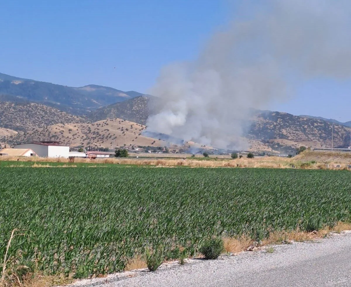 Aydın’ın Nazilli ilçesinde zirai alanda yangın çıktı.