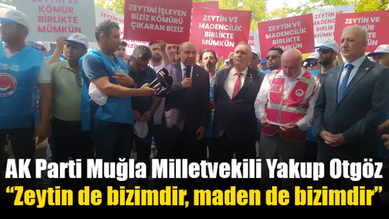 AK Parti Muğla Milletvekili Yakup Otgöz, zeytinliklerin korunarak enerji üretiminin