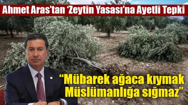 Zeytinlik alanların madencilik ve enerji projelerine açılmasını öngören yasa teklifine