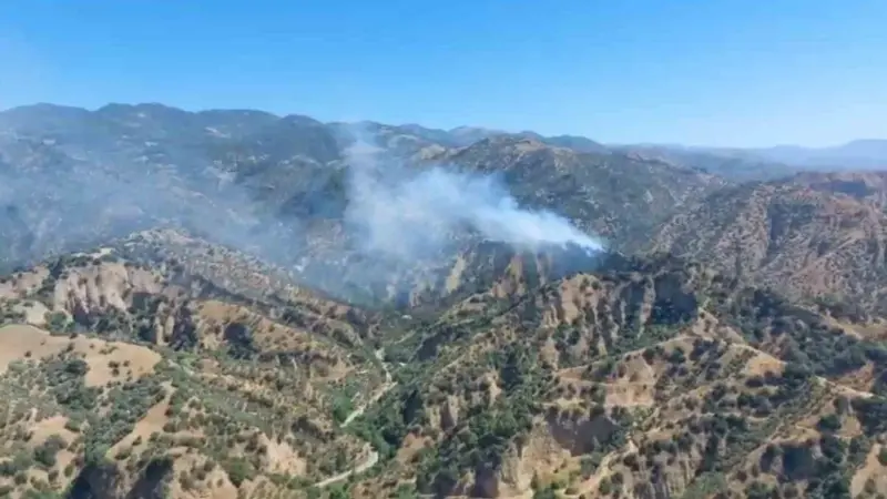 Aydın'ın Efeler ilçesi Yılmazköy mevkiinde çıkan zeytinlik yangınında, ekipler hem