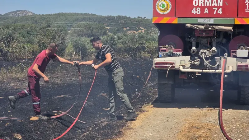 Muğla'nın Yatağan ilçesine bağlı Bozarmut Ovası'nda çıkan zirai yangın, itfaiye