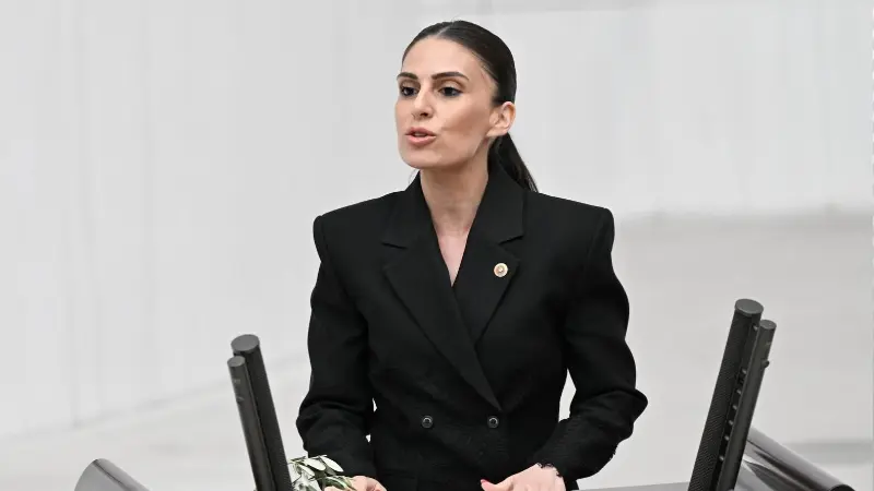 Muğla Milletvekili Avukat Gizem Özcan, zeytinlik alanlarda madencilik faaliyetlerinin önünü