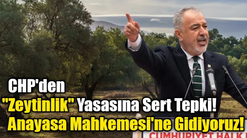 CHP Muğla Milletvekili Av. Cumhur Uzun, zeytinlik alanlarda madencilik faaliyetlerinin