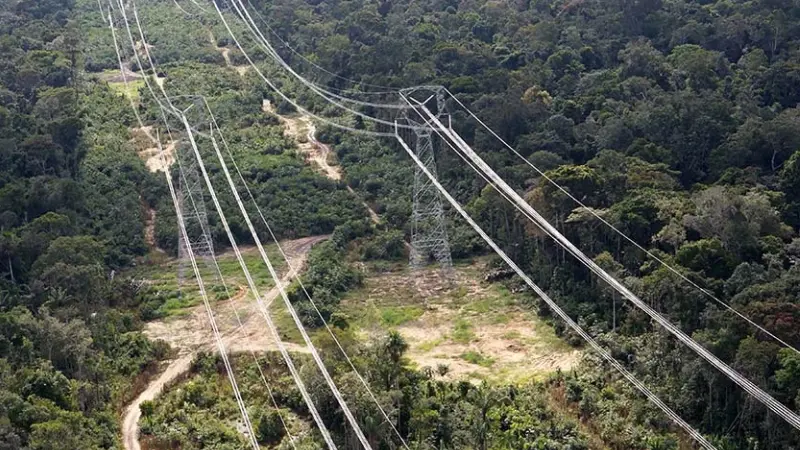 “Enerji nakil hatları süratle orman alanlarının dışına çıkarılmalı” Enerji Sanayicileri ve İş İnsanları Derneği (ENSİA) Yönetim Kurulu Başkanı