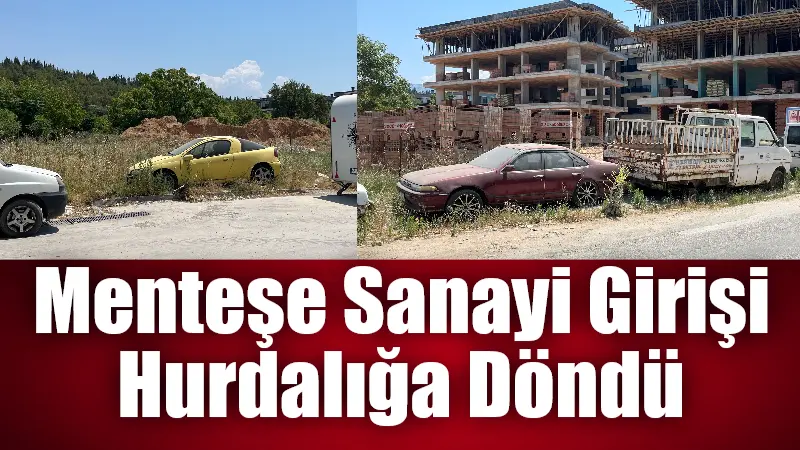Muğla’nın Menteşe ilçesindeki Sanayi Sitesi girişinde, yol kenarına terk edilen