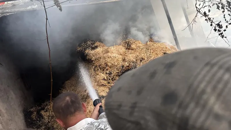 Menteşe’nin Denizova Mahallesi’nde bir ahırın saman bölümünde çıkan yangın, Muğla