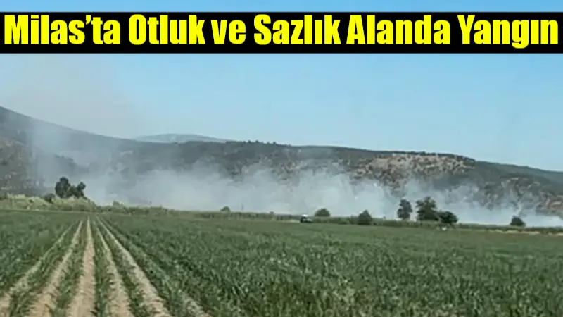  Muğla’nın Milas ilçesine bağlı Savran Mahallesi’nde otluk ve sazlık alanda