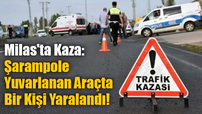 Muğla'nın Milas ilçesindeki Damlıboğaz Mahallesi'nde yeni açılan yolda meydana gelen