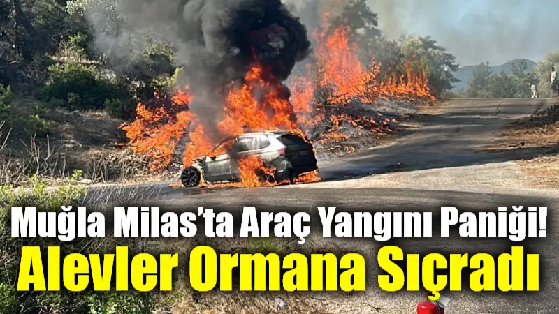 Muğla’nın Milas ilçesi Kıyıkışlacık Mahallesi yolunda çıkan araç yangını, çevredeki