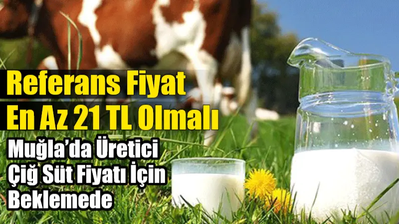 Muğla’da Üretici Çiğ Süt Fiyatı İçin Beklemede: Referans Fiyat En Az 21 TL Olmalı Ulusal Süt Konseyi’nin 1 Temmuz 2025 itibarıyla geçerli olacak çiğ
