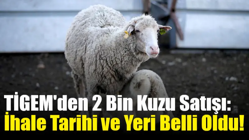 Tarım İşletmeleri Genel Müdürlüğü (TİGEM), Gökhöyük Tarım İşletmesi’nde yetiştirilen Bafra