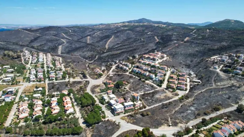 Yangından geriye gözyaşı kaldı İzmir’in Seferihisar ve Menderes ilçelerinde meydana gelen orman yangınları sonrası