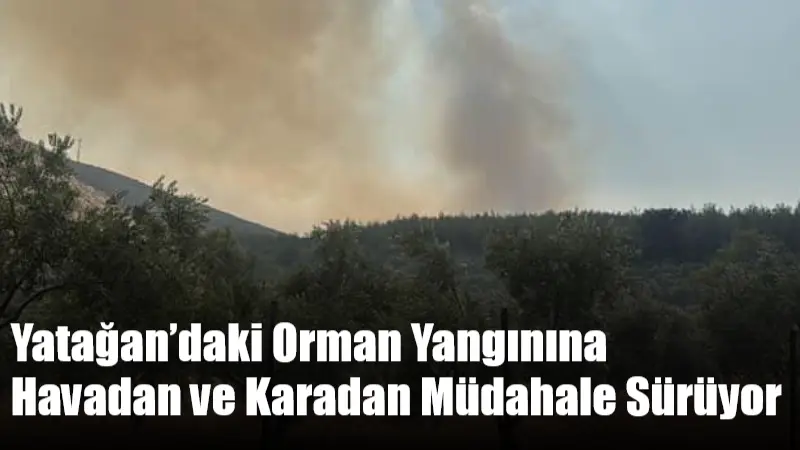 Muğla’nın Yatağan ilçesi Nebiköy Mahallesi yakınlarında yıldırım düşmesi sonucu başladığı