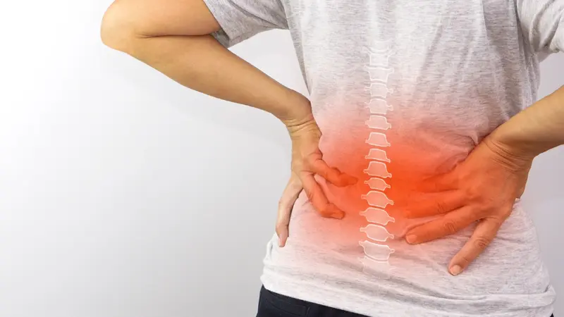 Yaz mevsimiyle birlikte artan fiziksel işler, bel ve sırt sağlığını