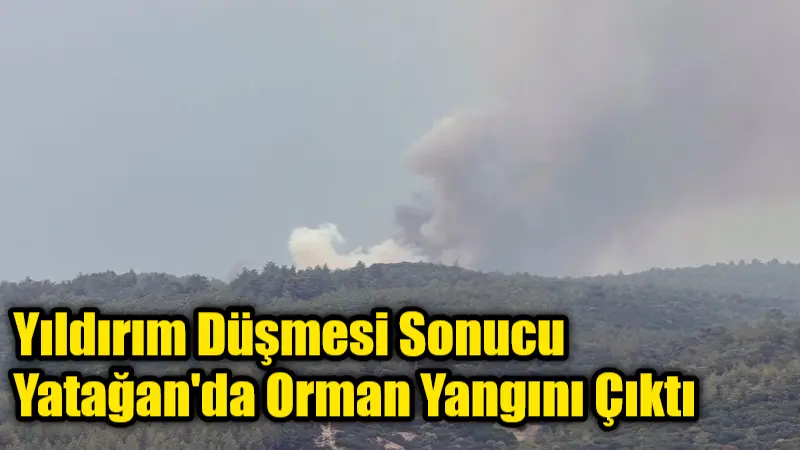 Muğla'nın Yatağan ilçesi Dipsiz mevkiinde yıldırım düşmesiyle çıkan orman yangınına